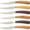 Saladini Steakmes 10 Cm Verschillende Houtsoorten 6 Stuks