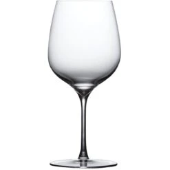 Nude Terroir Rode Wijnglas 590 Ml Kristalglas 2 Stuks