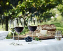 Riedel Vinum Riesling / Zinfandel Wijnglas 400 Ml Kristalglas 2 Stuks -Serviesgoedwinkel Voor Thuis riedel vinum riesling zinfandel